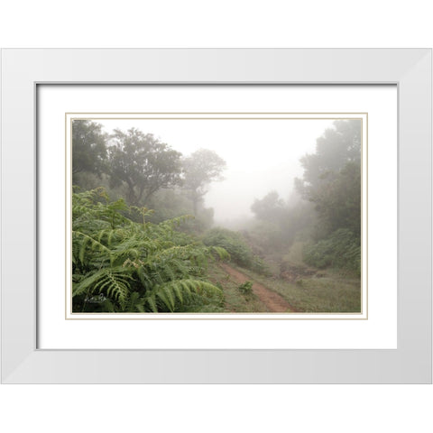Fern Path White Modern Wood Framed Art Print with Double Matting by Podt, Martin