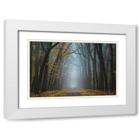 Moody Autumn   White Modern Wood Framed Art Print with Double Matting by Podt, Martin