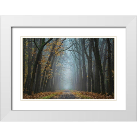 Moody Autumn   White Modern Wood Framed Art Print with Double Matting by Podt, Martin