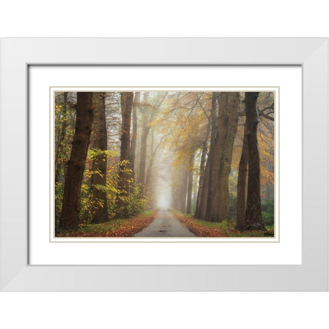 Autumnal Moodiness    White Modern Wood Framed Art Print with Double Matting by Podt, Martin