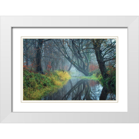 The Creek    White Modern Wood Framed Art Print with Double Matting by Podt, Martin