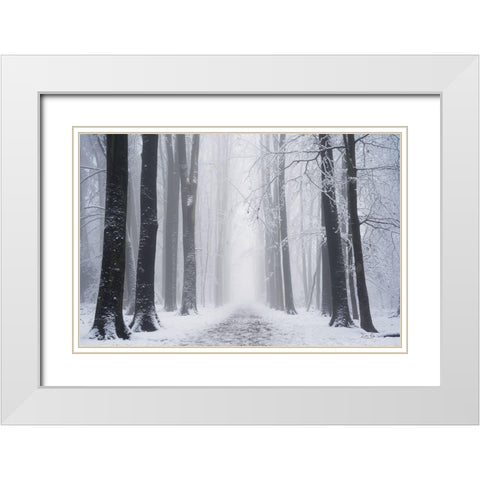 Whiteout  White Modern Wood Framed Art Print with Double Matting by Podt, Martin