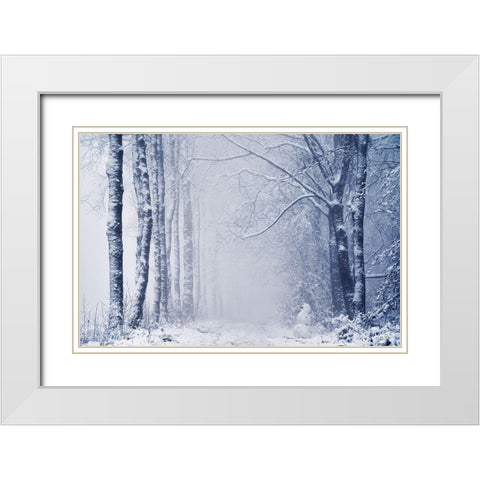 Alone in the World White Modern Wood Framed Art Print with Double Matting by Podt, Martin