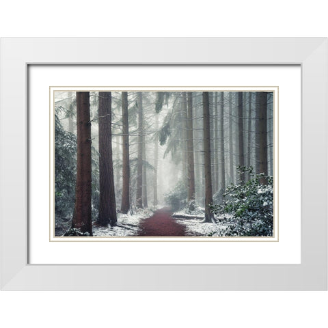 Red Carpet White Modern Wood Framed Art Print with Double Matting by Podt, Martin