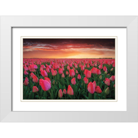 Tulip Field Sunset White Modern Wood Framed Art Print with Double Matting by Podt, Martin