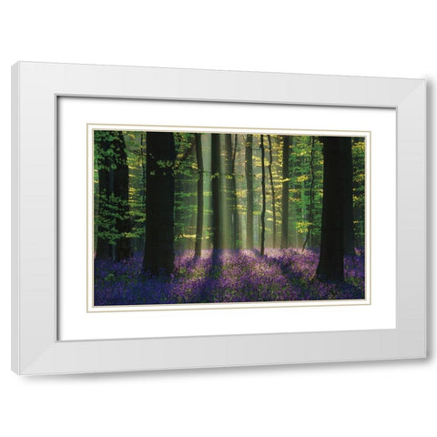 Perfect Spring Scene White Modern Wood Framed Art Print with Double Matting by Podt, Martin