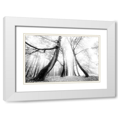 The Gatekeeper   White Modern Wood Framed Art Print with Double Matting by Podt, Martin