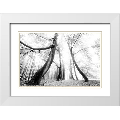 The Gatekeeper   White Modern Wood Framed Art Print with Double Matting by Podt, Martin