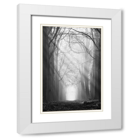 Sunray Path   White Modern Wood Framed Art Print with Double Matting by Podt, Martin