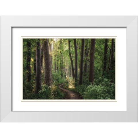 Spring Chaos White Modern Wood Framed Art Print with Double Matting by Podt, Martin