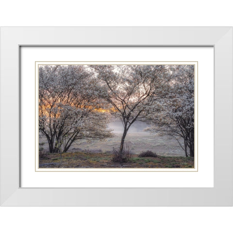 Spring Bushes White Modern Wood Framed Art Print with Double Matting by Podt, Martin