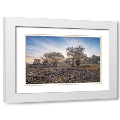 Spring Bushes at Sunrise White Modern Wood Framed Art Print with Double Matting by Podt, Martin