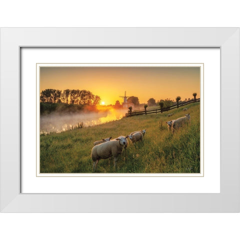 Sheep at Sunrise White Modern Wood Framed Art Print with Double Matting by Podt, Martin