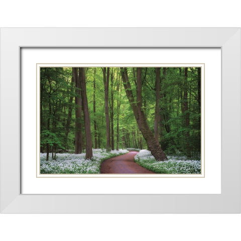 Fragrant Road White Modern Wood Framed Art Print with Double Matting by Podt, Martin