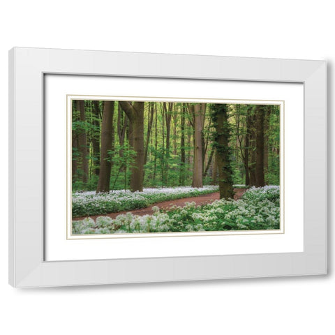 White Carpet White Modern Wood Framed Art Print with Double Matting by Podt, Martin