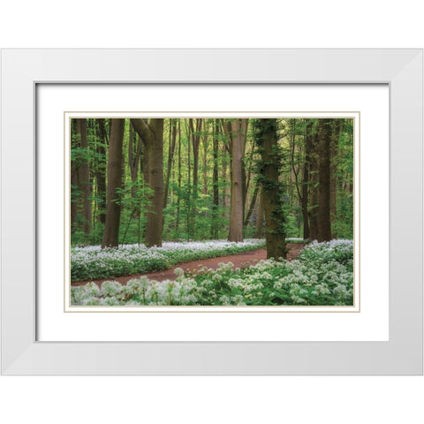 White Carpet White Modern Wood Framed Art Print with Double Matting by Podt, Martin