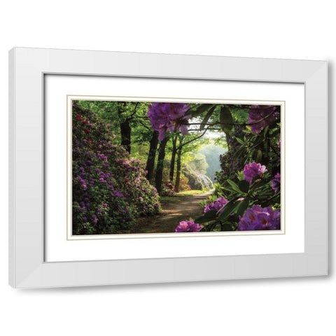 Rhododendron Lane White Modern Wood Framed Art Print with Double Matting by Podt, Martin