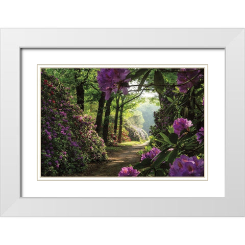 Rhododendron Lane White Modern Wood Framed Art Print with Double Matting by Podt, Martin