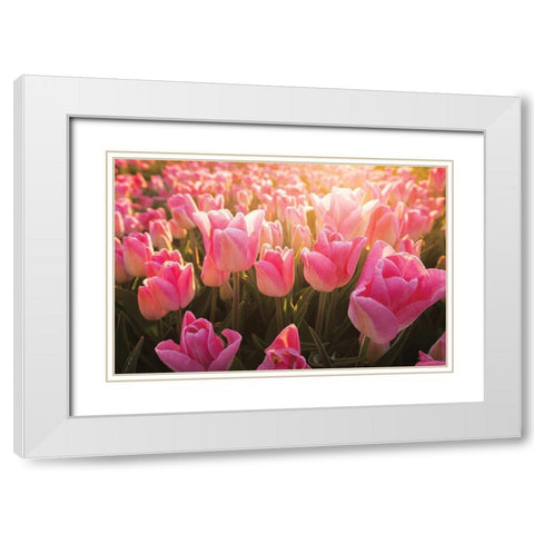 The Pink Ones White Modern Wood Framed Art Print with Double Matting by Podt, Martin