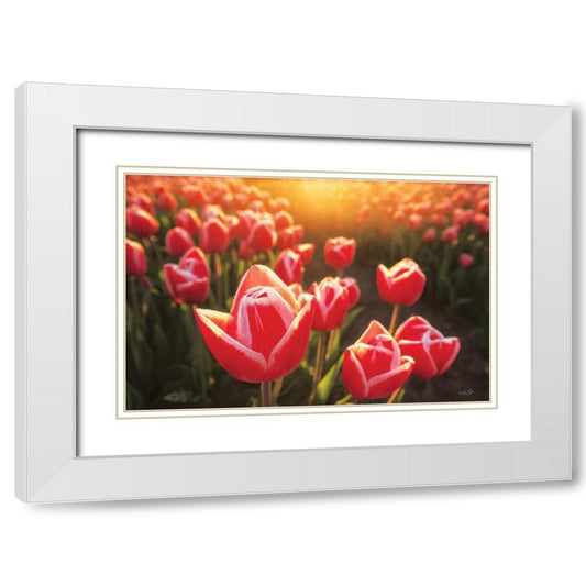 Perspective Image