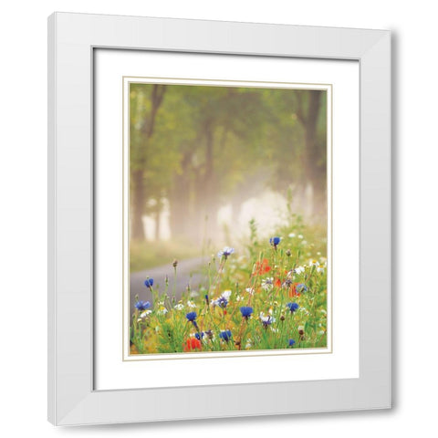 Bee Pleasure White Modern Wood Framed Art Print with Double Matting by Podt, Martin