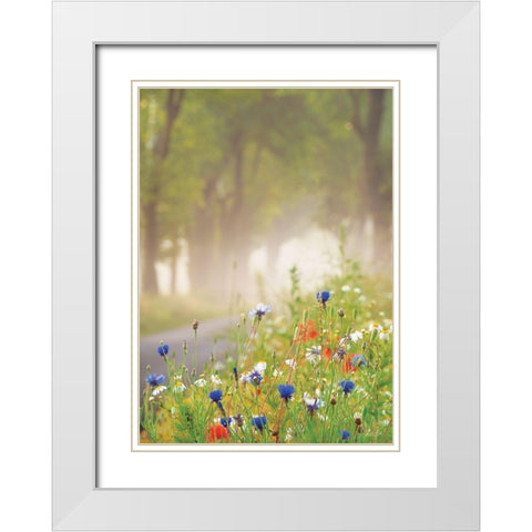 Bee Pleasure White Modern Wood Framed Art Print with Double Matting by Podt, Martin
