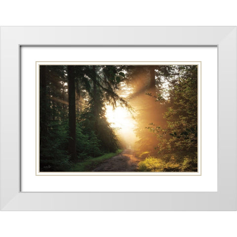 Light Explosion White Modern Wood Framed Art Print with Double Matting by Podt, Martin
