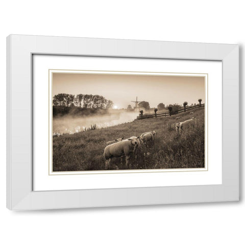 Grazing Sheep    White Modern Wood Framed Art Print with Double Matting by Podt, Martin