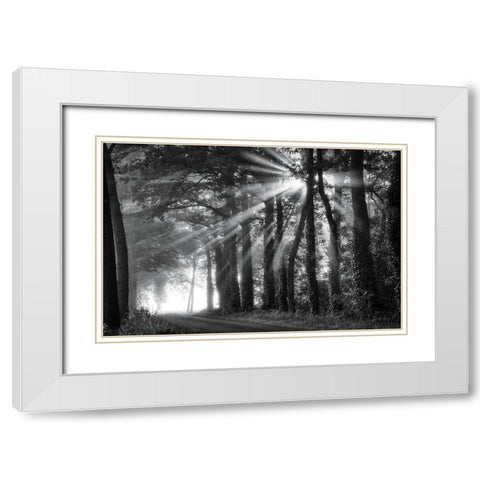 Amazing Rays White Modern Wood Framed Art Print with Double Matting by Podt, Martin
