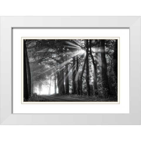 Amazing Rays White Modern Wood Framed Art Print with Double Matting by Podt, Martin