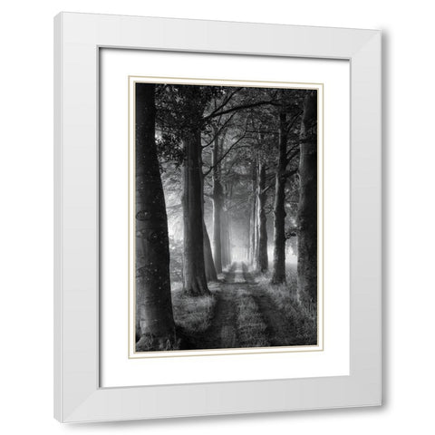 Forest Path White Modern Wood Framed Art Print with Double Matting by Podt, Martin