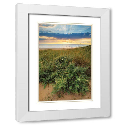 Dutch Dunes White Modern Wood Framed Art Print with Double Matting by Podt, Martin