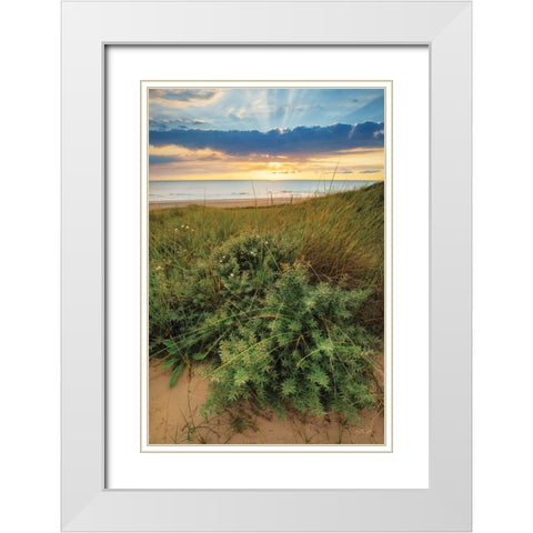 Dutch Dunes White Modern Wood Framed Art Print with Double Matting by Podt, Martin
