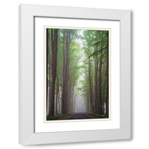 Foggy Road White Modern Wood Framed Art Print with Double Matting by Podt, Martin