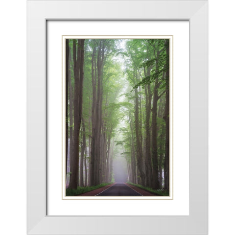 Foggy Road White Modern Wood Framed Art Print with Double Matting by Podt, Martin