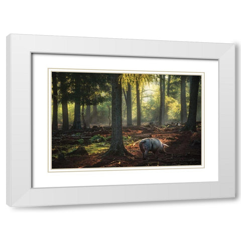 Morning Stroll  White Modern Wood Framed Art Print with Double Matting by Podt, Martin