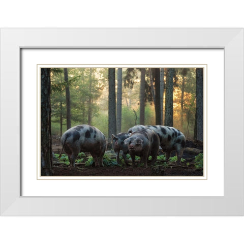 Pig Paradise  White Modern Wood Framed Art Print with Double Matting by Podt, Martin
