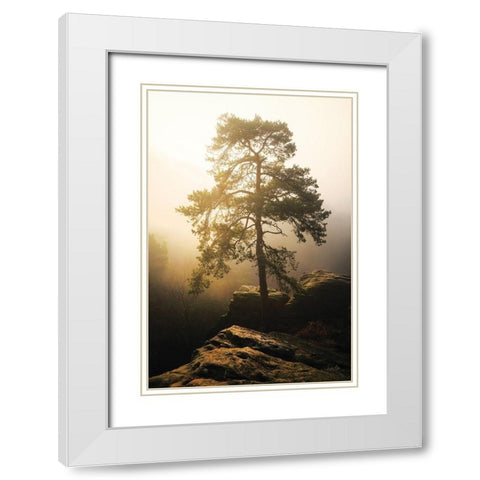 On the Edge of Glory White Modern Wood Framed Art Print with Double Matting by Podt, Martin