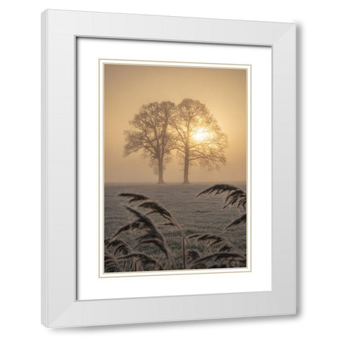 Frosted Sunrise II White Modern Wood Framed Art Print with Double Matting by Podt, Martin