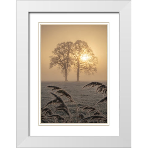 Frosted Sunrise II White Modern Wood Framed Art Print with Double Matting by Podt, Martin