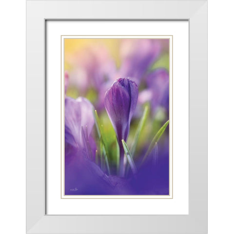 Shining at Sunset White Modern Wood Framed Art Print with Double Matting by Podt, Martin