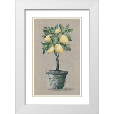 Lemon Tree White Modern Wood Framed Art Print with Double Matting by Norkus, Julie