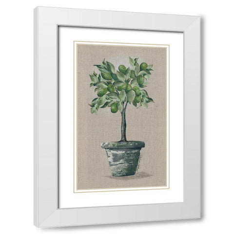 Lime Tree White Modern Wood Framed Art Print with Double Matting by Norkus, Julie