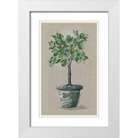 Lime Tree White Modern Wood Framed Art Print with Double Matting by Norkus, Julie