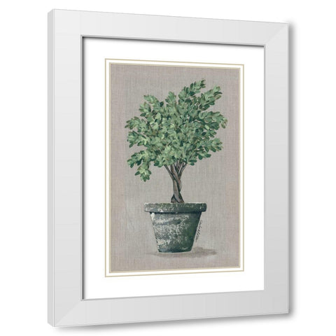 Asymmetrical Topiary White Modern Wood Framed Art Print with Double Matting by Norkus, Julie