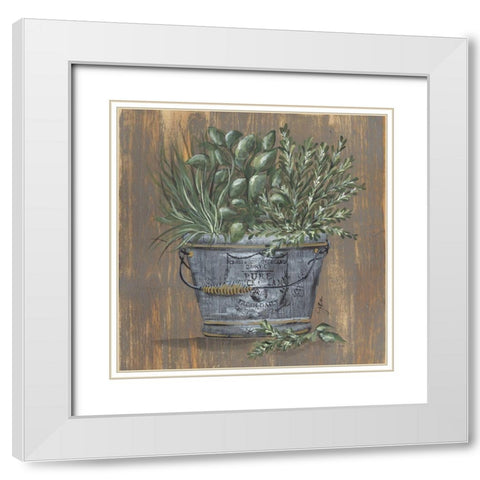 Herb Trio in Pail White Modern Wood Framed Art Print with Double Matting by Norkus, Julie