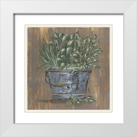 Herb Trio in Pail White Modern Wood Framed Art Print with Double Matting by Norkus, Julie