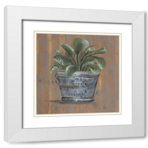 Pretty Plant in Pail White Modern Wood Framed Art Print with Double Matting by Norkus, Julie