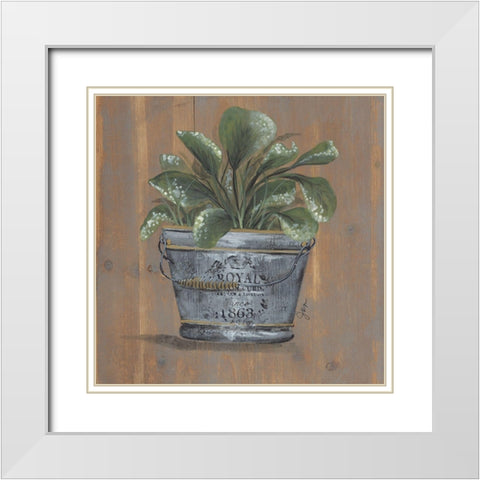 Pretty Plant in Pail White Modern Wood Framed Art Print with Double Matting by Norkus, Julie