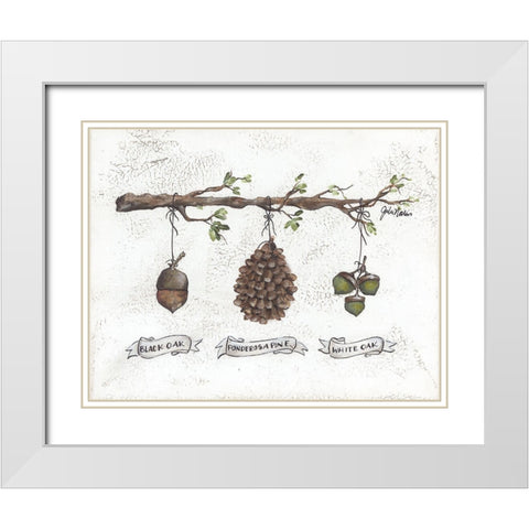 Pinecone Acorn Study White Modern Wood Framed Art Print with Double Matting by Norkus, Julie